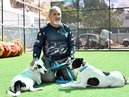 CAETO, UN ESPACIO QUE PRESERVA EL BIENESTAR DE SUS COTERAPEUTAS CANINOS