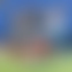 CATÁSTROFE ENFRANJADA, PUEBLA FEMENIL PIERDE 0-6 ANTE LAS POTOSINAS