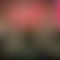 GOBIERNO MUNICIPAL PRESENTÓ EL FORO “LIDERAZGO DEPORTIVO” PUEBLA 2025 MOTIVANDO A NUEVAS GENERACIONES.