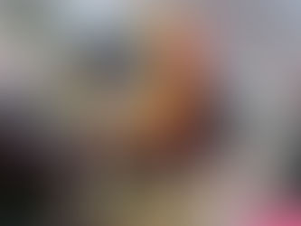 SE LLEVA A CABO EL PRIMER DESFILE ESTATAL DE LA JUVENTUD