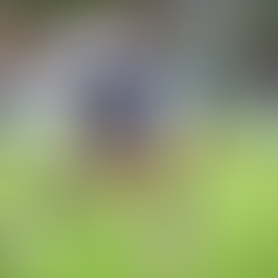 EL PUEBLA VS GALLOS FEMENIL CAMBIA DE HORARIO