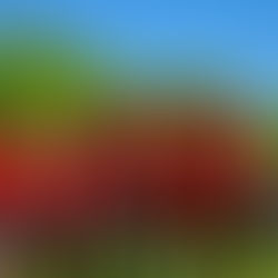 LLEGÓ LA PRIMERA VICTORIA PARA UPAEP