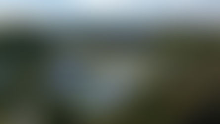 PARQUE FLOR DEL BOSQUE CERRARÁ TEMPORALMENTE POR OBRAS DE REHABILITACIÓN