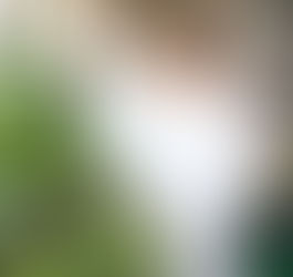 CICA, ejemplo de vinculación social entre la ciencia y los grupos más vulnerables