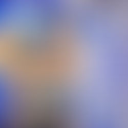 LOS CAMPEONES MUNDIALES DE TRÍOS ENFRENTARÁN A LOS DEPREDADORES DE VOLADOR JR.