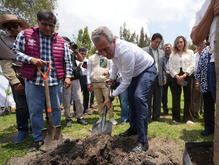 AVANZA PEPE CHEDRAUI EN LA RECUPERACIÓN DE ÁREAS VERDES CON "RAÍCES DEL FUTURO"