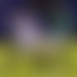 PUEBLA Y LEÓN SE MIDEN EN EL BAJÍO PARA REECONTRARSE CON LA VICTORIA.