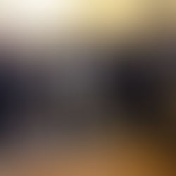 LA BUAP OTORGA DOCTORADO HONORIS CAUSA A ERIC LEROY ADAMS, ALCALDE DE NY.