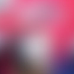 EX ALUMNOS UMAD REFUERZAN LAZO MADERISTA EN REENCUENTRO ANUAL.