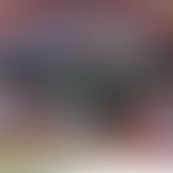 LA POSTEMPORADA LLEGA AL NIDO VERDE.