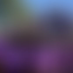 LAGARTOS, SUBCAMPEONES EN LA CATEGORÍA JUVENIL DE LA OFAMO