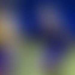 EN EL ARRANQUE DE LA ONEFA, AZTECAS CAE DE VISITA POR 28 PUNTOS A 10 CON LOS TIGRES.