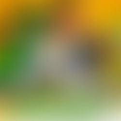 SE FORTALECE EL PITCHEO POBLANO