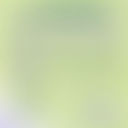 POBLANA ES CONVOCADA A LA SELECCIÓN MEXICANA SUB 17