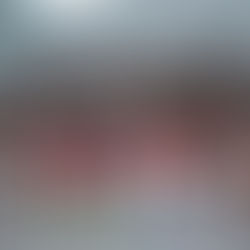 CLUB ALPHA RECONOCE A SUS CAMPEONES DE LAS CATEGORÍAS SUB 13 Y SUB 17.