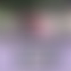 ECOVERMIS, BIOFERTILIZANTE LÍQUIDO ORGÁNICO A PARTIR DE LA DEGRADACIÓN DE PLÁSTICOS