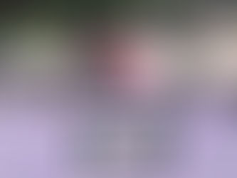 ECOVERMIS, BIOFERTILIZANTE LÍQUIDO ORGÁNICO A PARTIR DE LA DEGRADACIÓN DE PLÁSTICOS