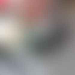 LA TRIPULACIÓN DEL VOLT RALLY TEAM CIERRA EL CAMPEONATO EN EL 2° RALLY PUEBLA.