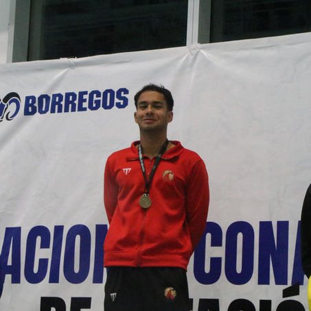 BRILLO EN EL ESTILO MARIPOSA