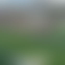 LOS LAGARTOS ESTRENAN "EL PANTANO" EN SPORTS PLAZA CON VALIOSA VICTORIA