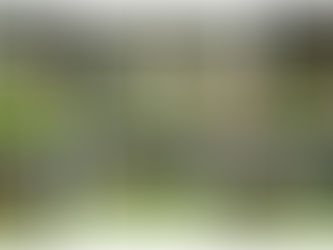 LOS AZTECAS UDLAP GANAN SU PRIMER JUEGO DE VISITANTE DE LA TEMPORADA 2025