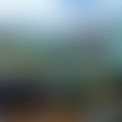 SE REVELA LA PLAYERA Y MEEALLA DE LA 1RA CARRERA PERICOS "CAMINA, CORRE Y VUELA ESTE INVIERNO"