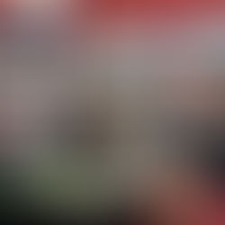 EN LA BUAP SE PRESENTA EL LIBRO MIRADA UNIVERSITARIA EN EDUCACIÓN PARA EL DESARROLLO SOSTENIBLE. METODOLOGÍA PARA LA ADECUACIÓN CURRICULAR