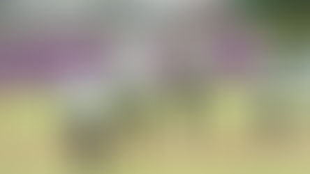 GUERREROS DE OAXACA SE LLEVA LA SERIE COMPLETA EN CASA DE LOS PERICOS 