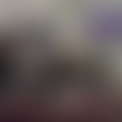 DESPLEGARÁ GOBIERNO DE LA CIUDAD DISPOSITIVO "BUEN FIN 2025" PARA MANTENER LA CAPITAL EN ORDEN