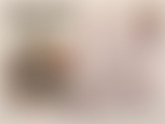 TODO LISTO EN APIZACO PARA LA "NOVILLADA MONUMENTAL" DE ESTE VIERNES