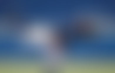 EL DOMINICANO CARLOS GÓMEZ REFORZARÁ EL BULLPEN EMPLUMADO