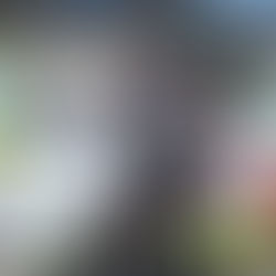 ASCIENDE RAFAEL MAGGIO EN CAMPEONATO DE TRUCKS MÉXICO SERIES 2025