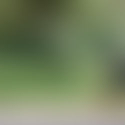 EL SISTEMA DE TRANSPORTE UNIVERSITARIO Y LOBOBICI, UNA OPCIÓN DE MOVILIDAD ECONÓMICA Y SUSTENTABLE.