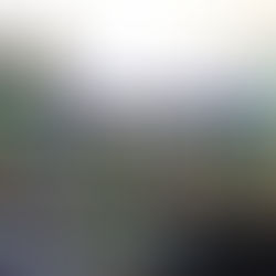 SE REVELAN LAS RUTAS DE LA SEGUNDA CARRERA PERICOS