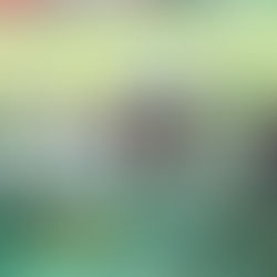 SE ANUNCIA LA SEGUNDA EDICIÓN DE LA CARRERA PERICOS