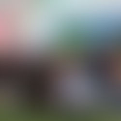 UMAD CIERRA SEMESTRE CON GRAN EVENTO DE FIN DE CURSOS.