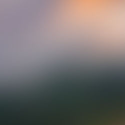 NOMINAN A SEIS ATRACTIVOS TURÍSTICOS DE PUEBLA EN LOS PREMIOS “LO MEJOR DE MÉXICO 2024”.