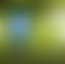 MÉXICO CONFIRMA AMISTOSO DE LEYENDAS ANTE BRASIL EN PLENA FIEBRE MUNDIALISTA