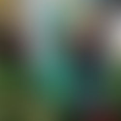 LLEGA LA GRANDEZA DE TEPEACA Y ORIENTAL A LA FERIA DE PUEBLA.