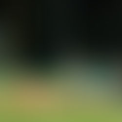 OLMECAS SE QUEDA CON LA SERIE.