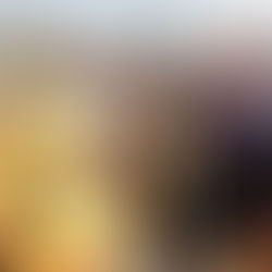 PUEBLA, RECINTO DE PROTECCIÓN AL MEDIO AMBIENTE: ALEJANDRO ARMENTA