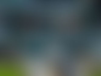 EL NIDO VERDE RECIBE LA SERIE DE ZONA