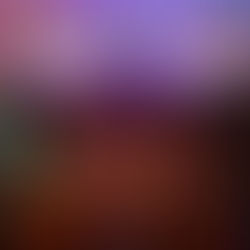 INVITA IMACP A CONTINUAR DISFRUTANDO DEL CORREDOR DE OFRENDAS 2025