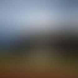 VLADIMIR GUTIERREZ, DE REGRESO AL NIDO