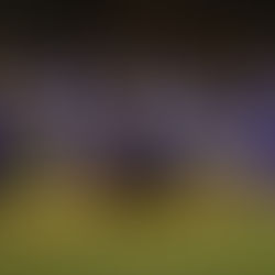 BORREGOS PUEBLA CAE ANTE AUTÉNTICOS TIGRES Y SE DESPIDE DE LA TEMPORADA 2024.