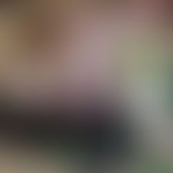 IMDP PRESENTÓ EL MEDIO MARATÓN PUEBLA 2025