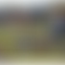 SELECCIÓN CENTRO LISTA PARA AFRONTAR EL XLIX TAZÓN AZTECA DE LA ONEFA