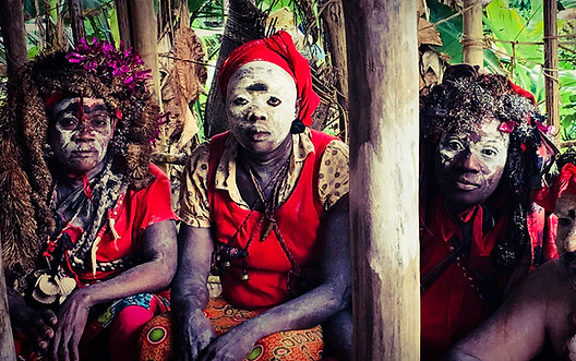 bwiti-spiritual-iboga-plant-medicine