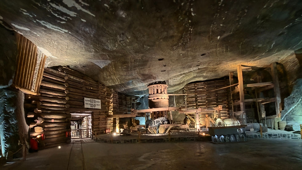 A horse drawn lifting mechanism is visible in the background, with salt deposits creeping through the much more recent concrete reinforcement above
