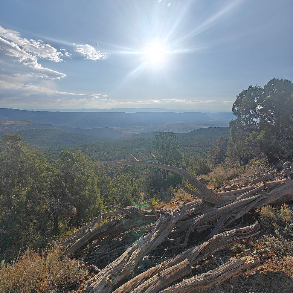 Paradox Valley can be seen in the shadows above, heading towards the right of the photo